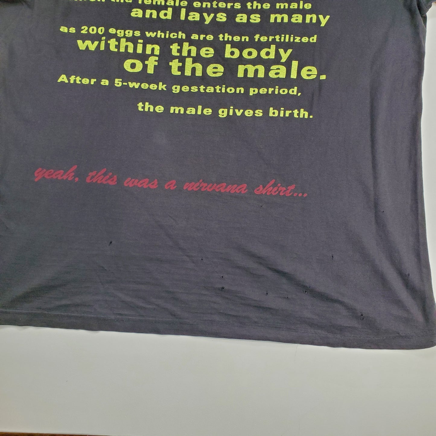 Nirvana Seahorse 93 XL