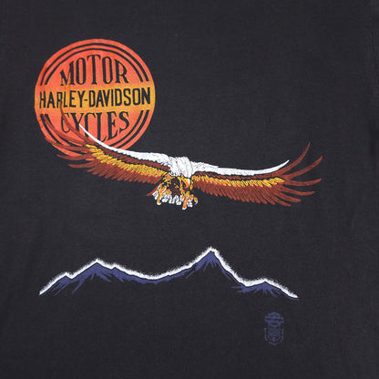 Harley Davidson 84 Flying Eagle Mountains M