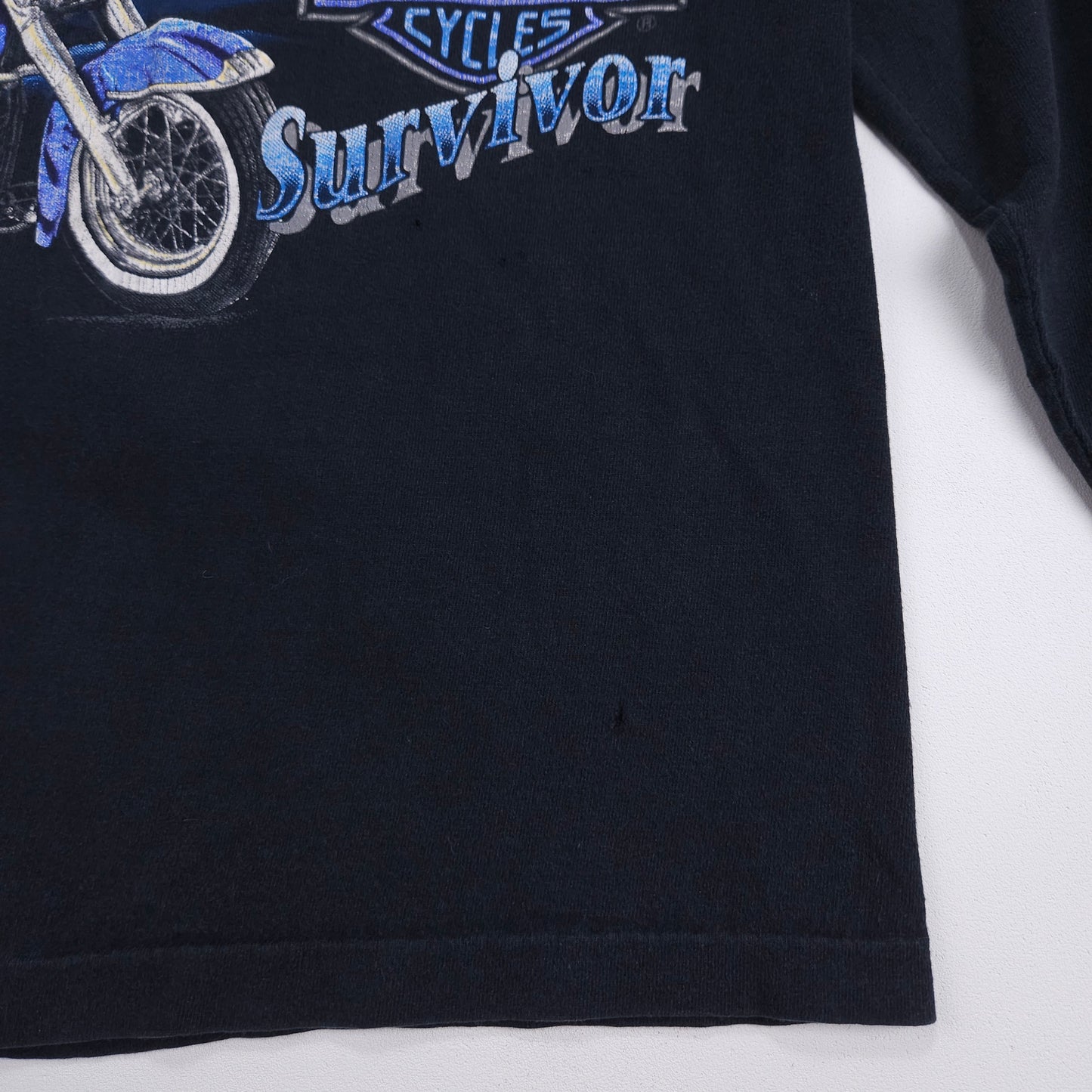 Harley Davidson 3D Long Sleeve '93 Survivors M