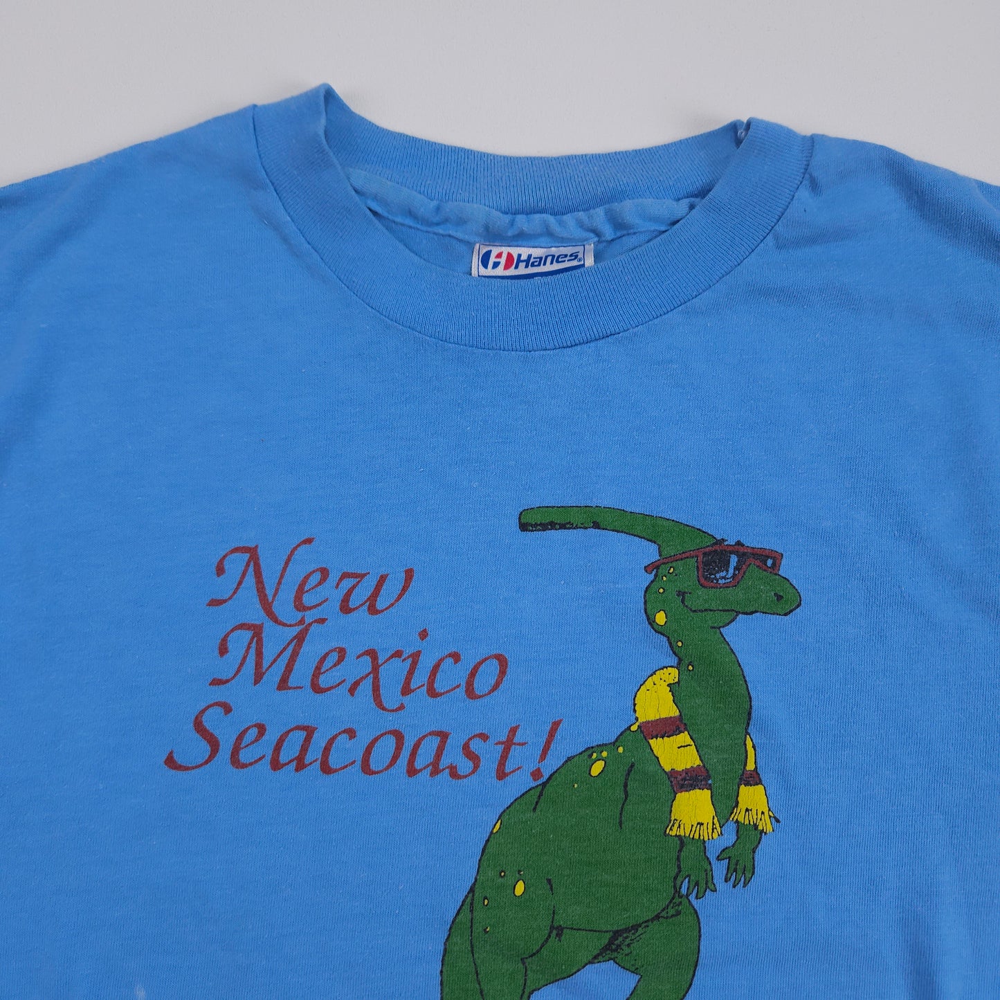 New Mexico Seacoast! Dinosaur Shirt L