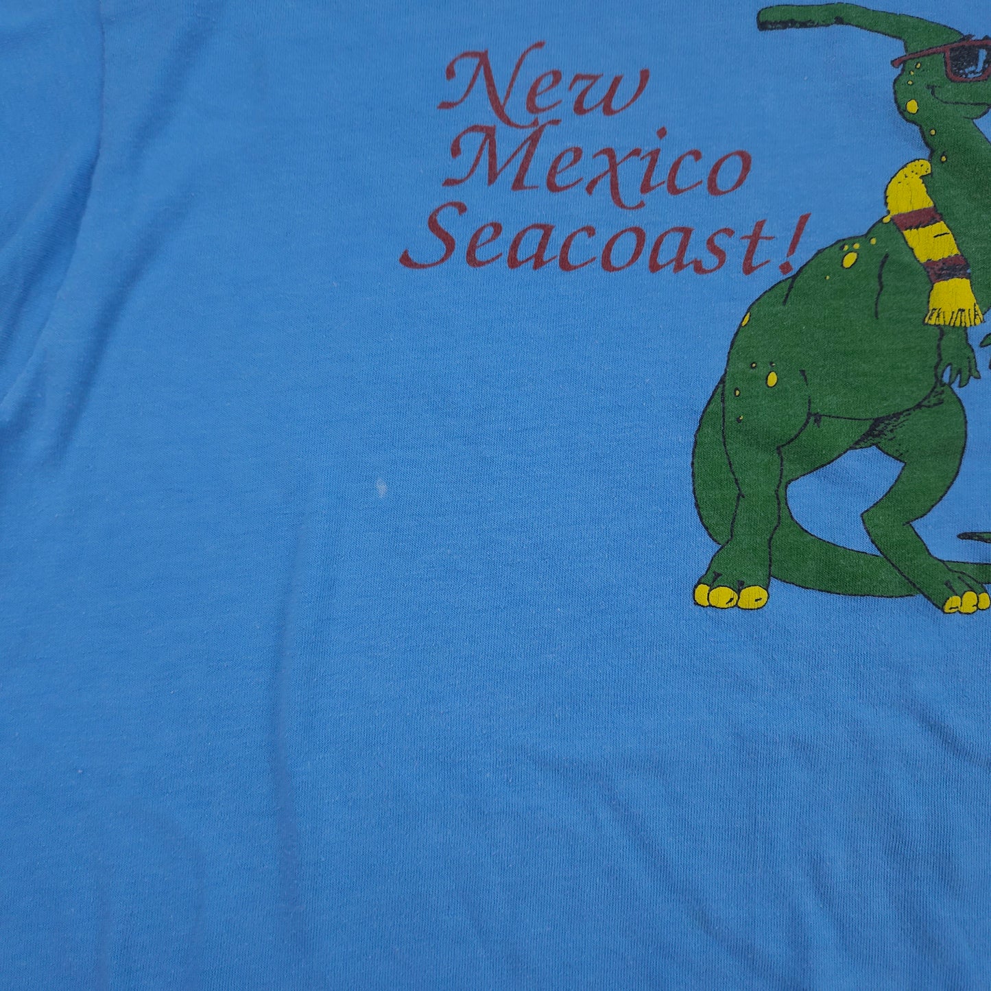 New Mexico Seacoast! Dinosaur Shirt L