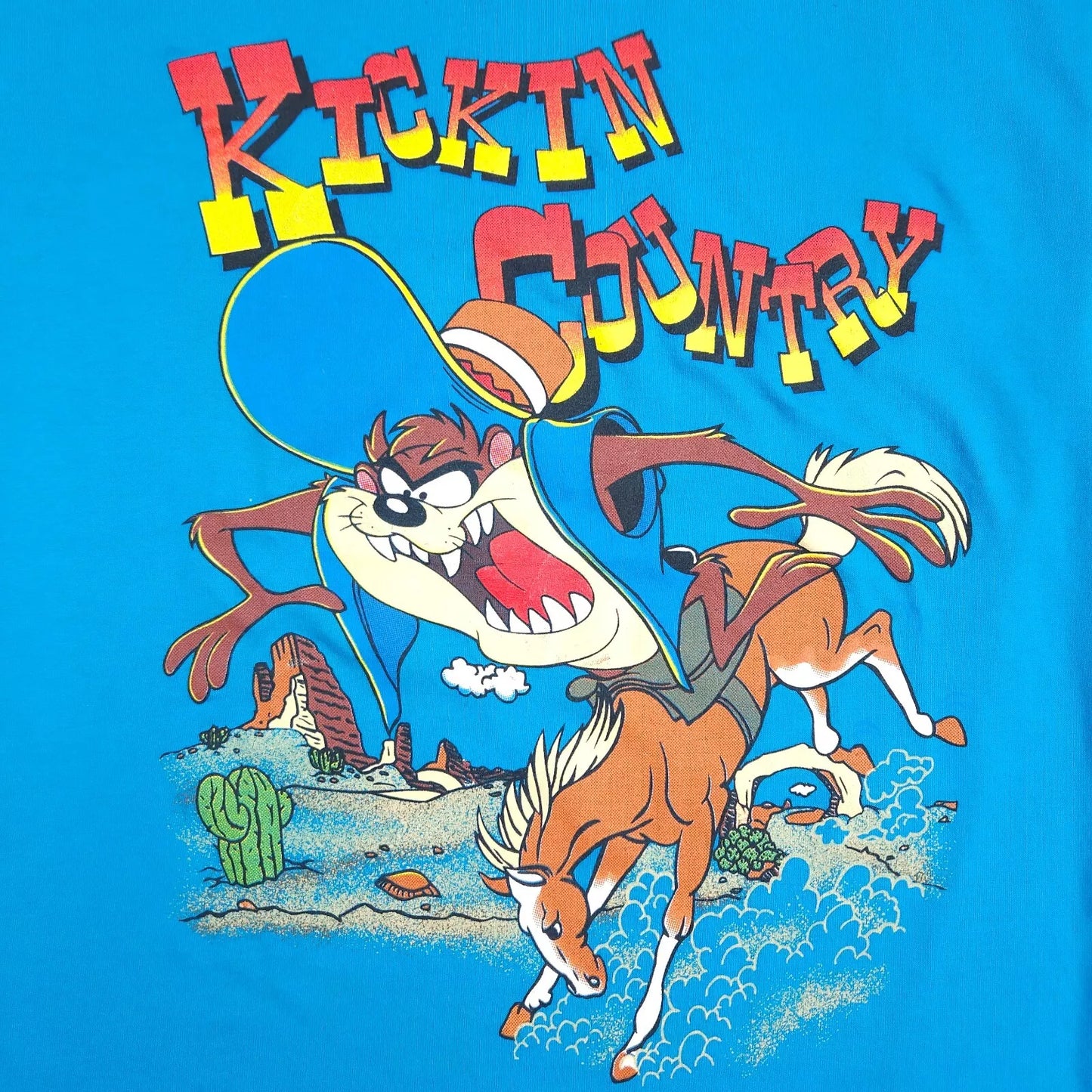 Taz Cowboy Looney Tunes Western M